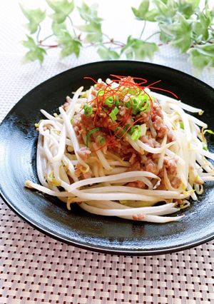 簡単・節約！もやしとひき肉の旨塩炒め-レシピのメイン写真