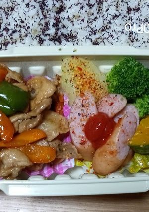 8/31焼肉弁当-レシピのメイン写真