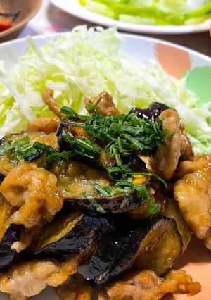 ズボラ飯！ナスと豚肉のスタミナ炒め-レシピのメイン写真