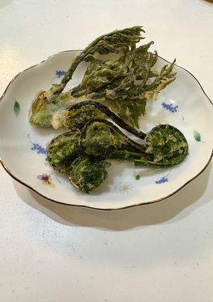 山菜の天ぷら-レシピのメイン写真