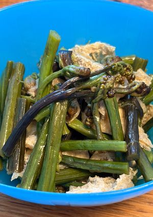 簡単　わらびのおひたし　滋味深い味-レシピのメイン写真