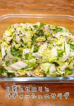 白菜とセロリとラディッシュのサラダ-レシピのメイン写真