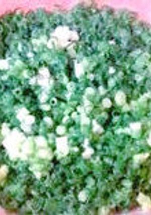 便利☆こねぎの冷凍☆-レシピのメイン写真
