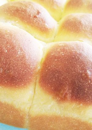 かぼちゃあん入り・かぼちゃちぎりパン-レシピのメイン写真