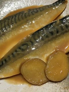 鯖の味噌煮-レシピのメイン写真
