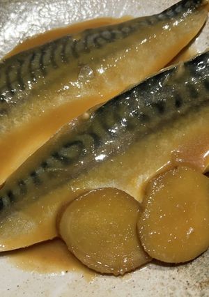 鯖の味噌煮-レシピのメイン写真