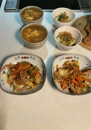 野菜肉炒め豆腐卵吸物冷や奴-レシピのメイン写真