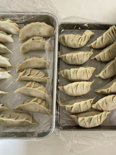 手作り餃子&ワンタン→冷凍保存-レシピのメイン写真