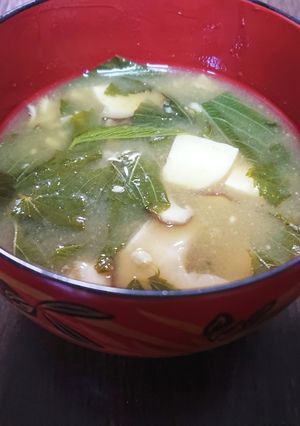 レバーの粉入りお味噌汁-レシピのメイン写真