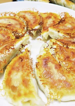 お店の味を追求した本格餃子 ー極ー-レシピのメイン写真