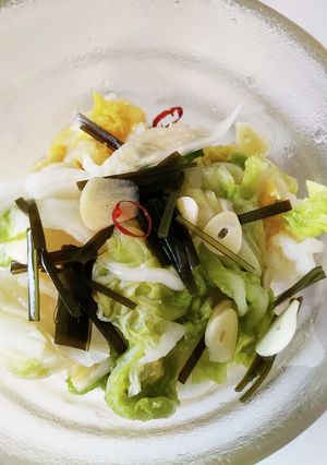 浅漬けガラスで白菜漬けアレンジ！-レシピのメイン写真