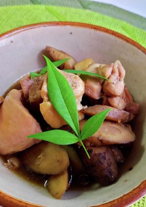 材料は2つ! 鶏とごぼうの煮物♪-レシピのメイン写真