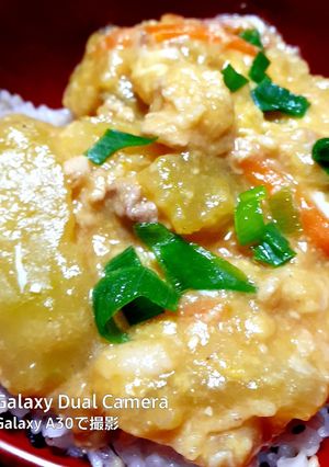 冬瓜丼-レシピのメイン写真