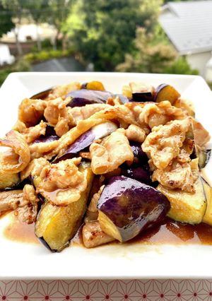 茄子の肉炒め-レシピのメイン写真