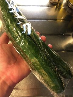 きゅうりの保存方法-レシピのメイン写真