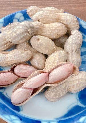 茹で落花生【備忘録】-レシピのメイン写真