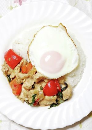 鶏肉で作るガパオライス-レシピのメイン写真