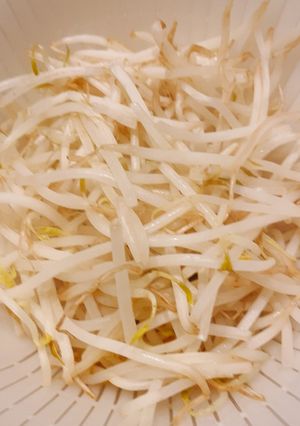 【覚書】我が家のレンチンもやし-レシピのメイン写真