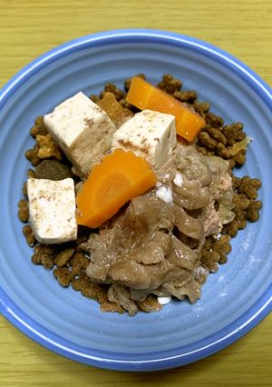 MrsWongちの愛犬用島肉豆腐-レシピのメイン写真