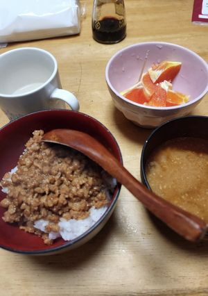 大豆でも!絶品そぼろ丼-レシピのメイン写真