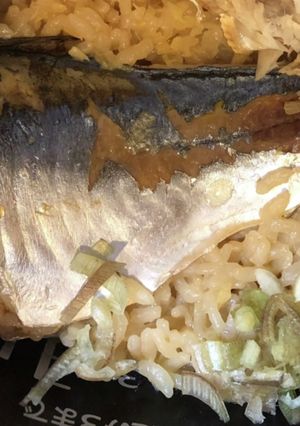 鯵の炊き込みご飯-レシピのメイン写真
