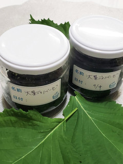 大葉ジェノベーゼ-レシピのメイン写真