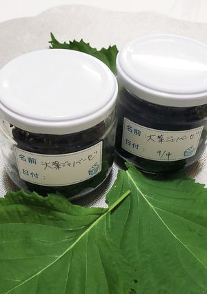 大葉ジェノベーゼ-レシピのメイン写真