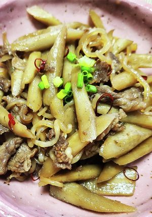 牛肉とごぼうの甘辛生姜煮-レシピのメイン写真