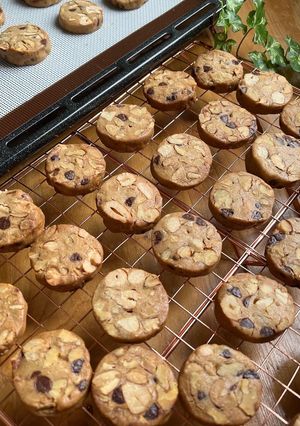 ナッツたっぷり！カフェモカ風クッキー★-レシピのメイン写真