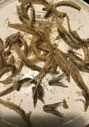 鰯の骨のオカラ粉だけレンチン健康カリカリ-レシピのメイン写真