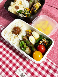 20220905娘ちゃんのお弁当-レシピのメイン写真