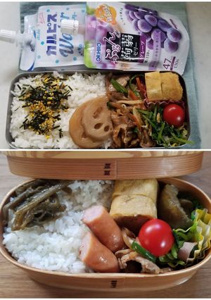 野菜炒め弁当(9.5)-レシピのメイン写真