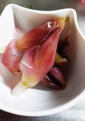 茗荷の酢漬け-レシピのメイン写真