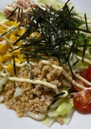 ネバネバサラダうどん-レシピのメイン写真