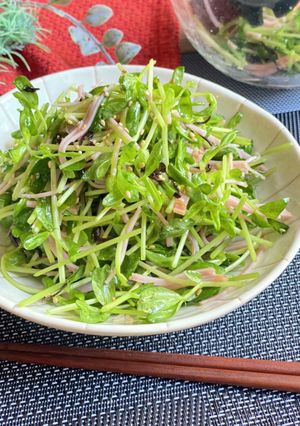 塩昆布とハムの豆苗サラダ-レシピのメイン写真