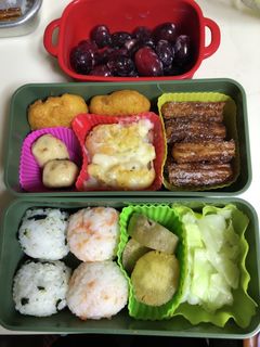 ヤツと私の弁当たまに娘 9/7-レシピのメイン写真
