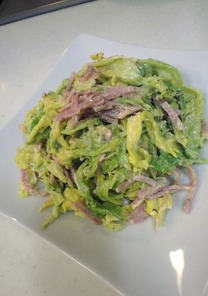 早生キャベツのサラダ-レシピのメイン写真