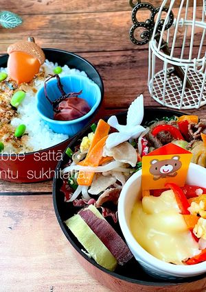 令和四年　九月七日　あり合わせ弁当-レシピのメイン写真