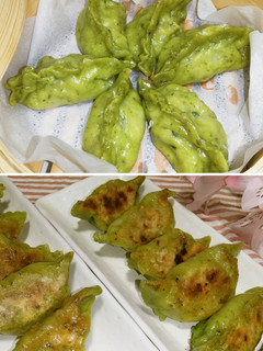 ゴーヤを使った焼き餃子、蒸し餃子-レシピのメイン写真