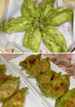 ゴーヤを使った焼き餃子、蒸し餃子-レシピのメイン写真