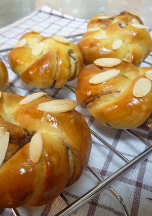 チョココアパン♪-レシピのメイン写真