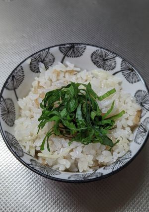 新生姜と平天の炊き込みご飯-レシピのメイン写真