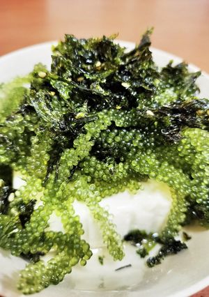 海ぶどう冷奴 ごま油風味簡単！乗せるだけ-レシピのメイン写真