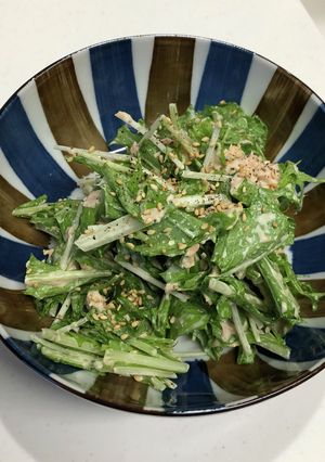 水菜のサラダ梅風味-レシピのメイン写真