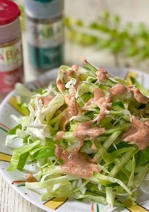 スパイスオーロラソースで千切りサラダ-レシピのメイン写真