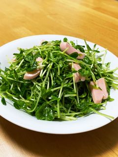 簡単合えるだけ〜豆苗サラダ-レシピのメイン写真