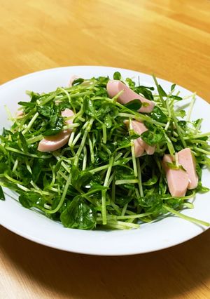 簡単合えるだけ〜豆苗サラダ-レシピのメイン写真