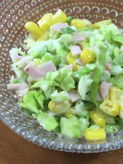 ☆我が家のサラダ コールスロー -レシピのメイン写真