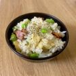【入れて炊くだけ】止まらないダシダご飯
