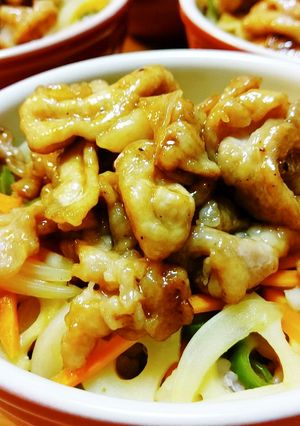 豚バラ&薄切りロースMIX丼-レシピのメイン写真